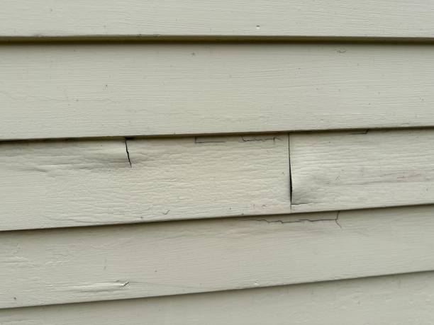 Best Siding Removal and Disposal  in Reedley, CA